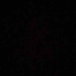 Meet your Posher, Susie